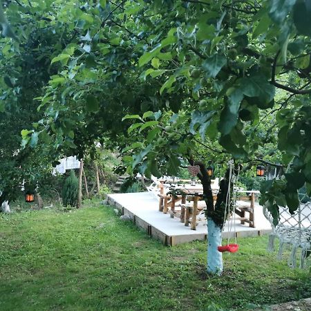 Hotel Casa Noastra Orszowa Zewnętrze zdjęcie